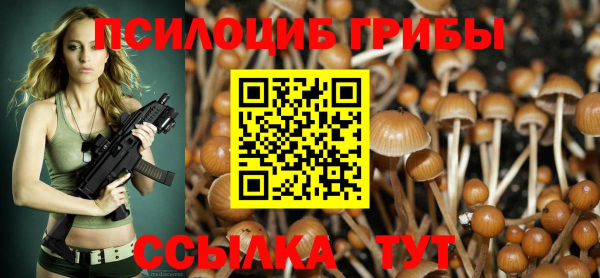 Галлюциногенные грибы Magic Shrooms Ишим