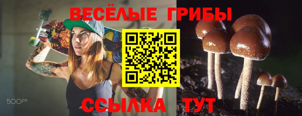 купить наркоту  Галлюциногенные грибы ЛСД  Ишим  Вход с VPN  Псилоцибиновые грибы Psilocybe 